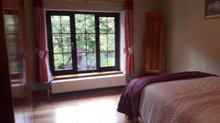 Отели типа «постель и завтрак» Beech Lodge B&B Lisheenanoran Двухместный номер с 1 кроватью и собственной ванной комнатой-4